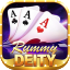 rummy passion apk icon